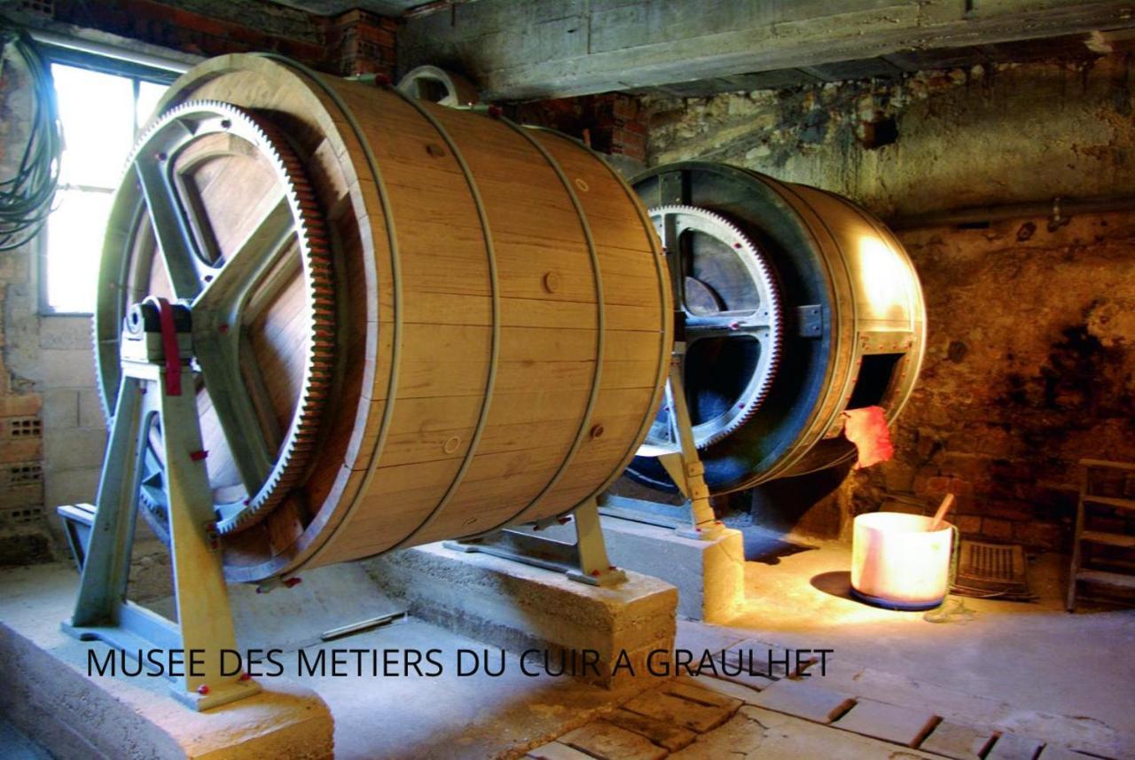 Loft Cosy - Hypercentre - Sauna - 200M2 - Wifi Graulhet Buitenkant foto